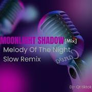 Moonlight Shadow Mix Melody Of The Night Slow Remix Qt Remix