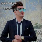 Sajad Farhadi Zendani