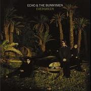 Evergreen Echo And The Bunnymen