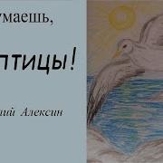 Алексин Птицы