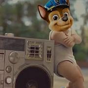 Paw Patrol The Movie Baby Dance Coffin Dance Meme Parody Youtube