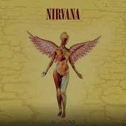 Nirvana Dumb Guitar Backing Track