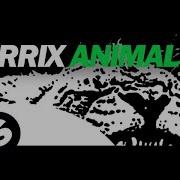 Martin Garrix Animals Audio