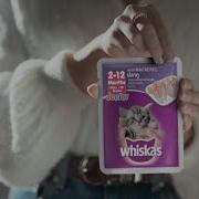 Whiskas