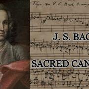 Js Bach Cantatas Bwv 26 27 28 29 Nikolaus Harnoncourt