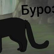 Коты Воители Сомнение