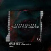 Approximate Darkest The Sky Leonid Borovyj Remix