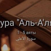 Выучить Коран Наизусть Сура Аль Аля 5 10 Аяь По 10 Раз