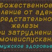 Исцеление От Аденомы Предстательной Железы