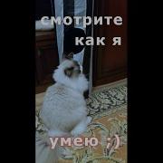 Смотрите Как Я Умею