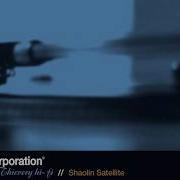 Shaolin Satellite Thievery Corporation