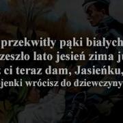 Rozkwitały Pąki Białych Róż Tekst