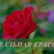 Саблиминалы Для Красоты