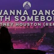 I Wanna Dance With Somebody Remix 2023