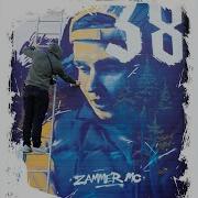 Морозы Zammer Mc