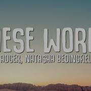 Natasha Bedingfield These Words Badger Remix