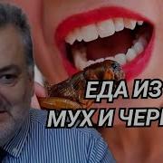 Пламен Пасков Мухи