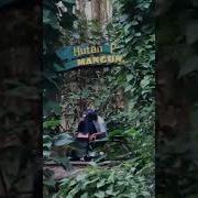 Pacaran D Hutan