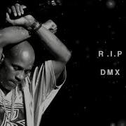 Dmx Eminem What They Really Want 2021 R I P Legend Dmx