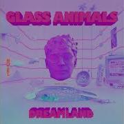 Helium Glass Animals