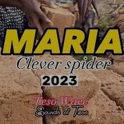 Maria Clever Spider