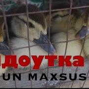 Урдаклар Учун Жой Ва Бокиш Усуллари