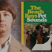 Pet Sounds Effect