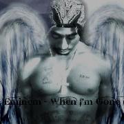 Eminem Tupac When I M Gone Remix