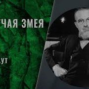 Гремучая Змея Рекс