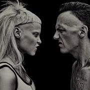 Enter The Ninja Remix Die Antwoord