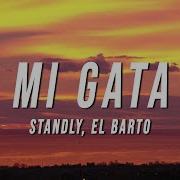 Mi Gata