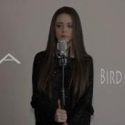 Sia Bird Set Free Cover