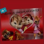 Alvin Ve Sincaplar Cane Potfpori