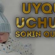 Sokin Uxlatuvchi