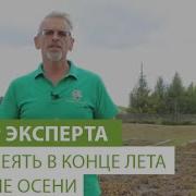 Что Посеять В Конце Лета И Начале Осени