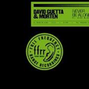 David Guetta Never Be Alone Feat Aloe Blacc