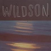 Wildson