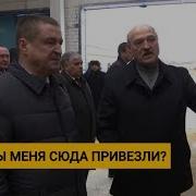 Корова В Говне Лукашенко