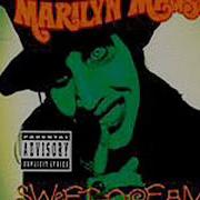 Marilyn Manson Sweet Dreams Guitar Cover Instrumental