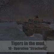 Tigers In The Mud