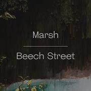 Marsh Beech