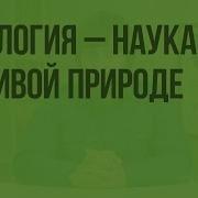 Биология Система Наук О Живой Природе 5 Класс