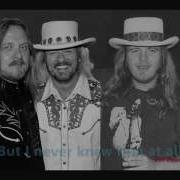 Rough Around The Edges Lynyrd Skynyrd