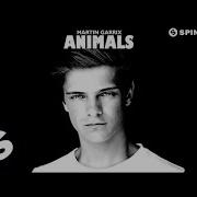 Martin Garrix Animals Radio Edit