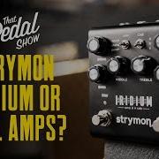 Strymon Iridium Real Amps What Do We Think That Pedal Show