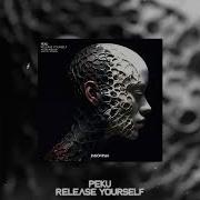 Release Yourself Original Mix Peku