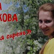 Саша Рычкова Белая Сирень