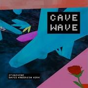 Cave Wave