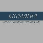 Организмы Среды Обитания 5 Класс