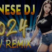 Chinese Dj Remix 2024